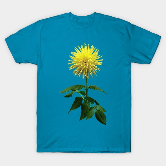 Yellow Dahlia Inland Dynasty T-Shirt by SusanSavad